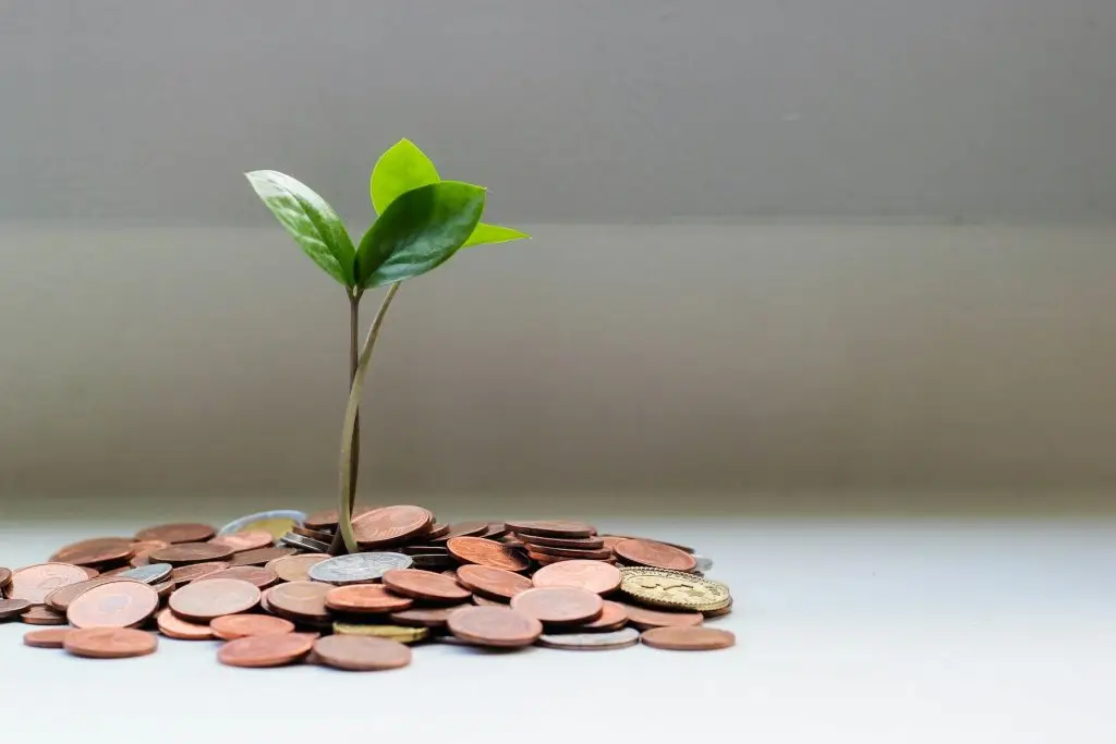 planted in coins