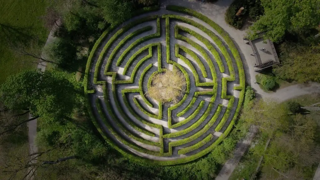 trust maze path