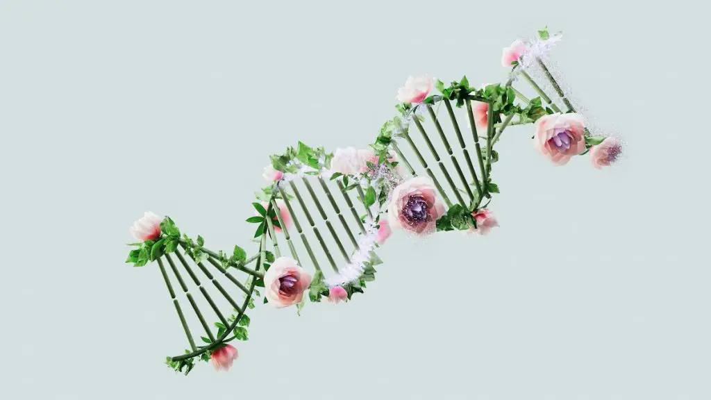 created by artist Nidia Dias as part of the Visualising AI project launched by Google DeepMind